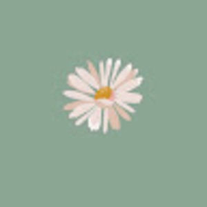 Meet your Posher, Abigail